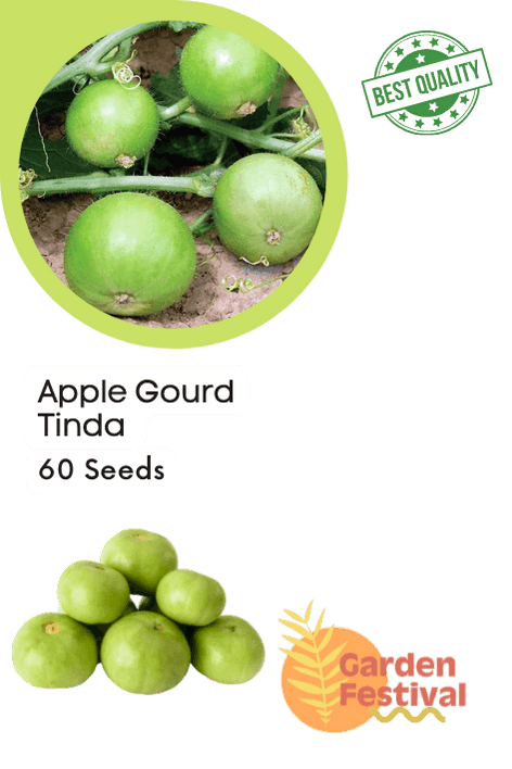 Apple Gourd/Tinda Desi (Garden Festival) - Farmers Stop