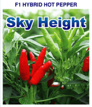 Sky Height F1 Hot Pepper (Nongwoo Seed's) - Farmers Stop