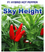 Sky Height F1 Hot Pepper (Nongwoo Seed's) - Farmers Stop