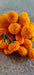 Tennyson Plus F1 Hybrid Orange Marigold (Konico Seed's) - Farmers Stop