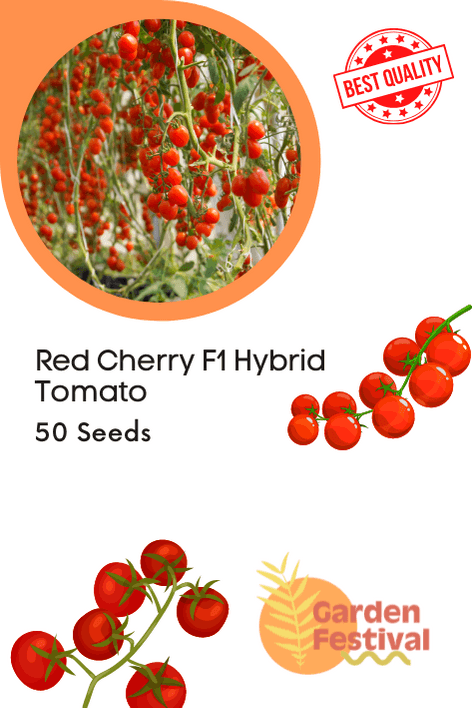 Red Cherry F1 Hybrid Tomato - Farmers Stop