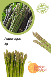 Asparagus F1 Hybrid Quality Seeds (Garden Festival) - Farmers Stop