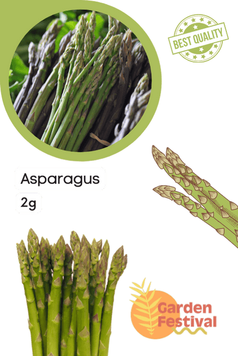 Asparagus F1 Hybrid Quality Seeds  (Garden Festival) - Farmers Stop