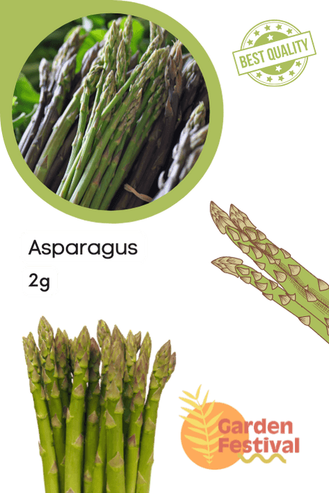 Asparagus F1 Hybrid Quality Seeds (Garden Festival) - Farmers Stop