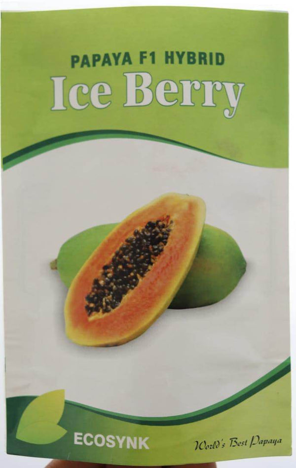 Ice Berry F1 Hybrid Papaya (ECOSYNK) - Farmers Stop