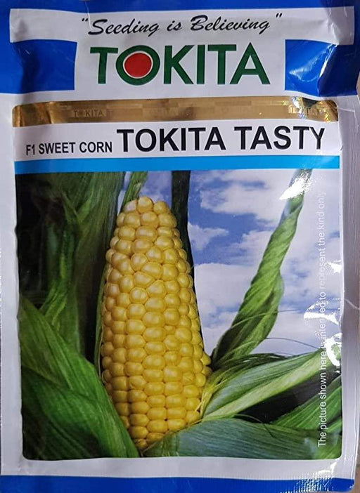 TOKITA TASTY F1 SWEET CORN (TOKITA SEEDS) - Farmers Stop