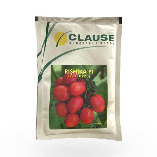 Rishika F1 Hybrid Tomato (Clause Seeds) - Farmers Stop