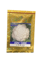 ADV 1400 F1 HYBRID CAULIFLOWER (GOLDEN SEEDS /ADVANTA) - Farmers Stop