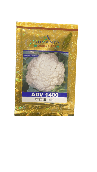 ADV 1400 F1 HYBRID CAULIFLOWER (GOLDEN SEEDS /ADVANTA) - Farmers Stop