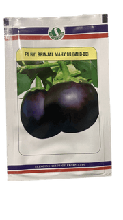 MAHY 80 F1 HYBRID BRINJAL (SUNGRO SEEDS) - Farmers Stop
