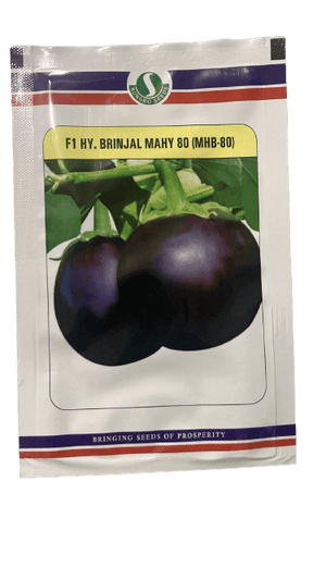MAHY 80 F1 HYBRID BRINJAL (SUNGRO SEEDS) - Farmers Stop