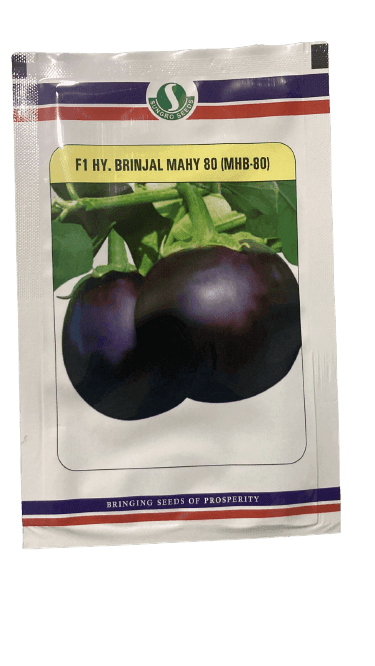 MAHY 80 F1 HYBRID BRINJAL (SUNGRO SEEDS) - Farmers Stop