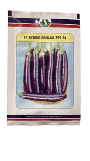 PPL-74 F1 HYBRID BRINJAL (SUNGRO SEEDS) - Farmers Stop