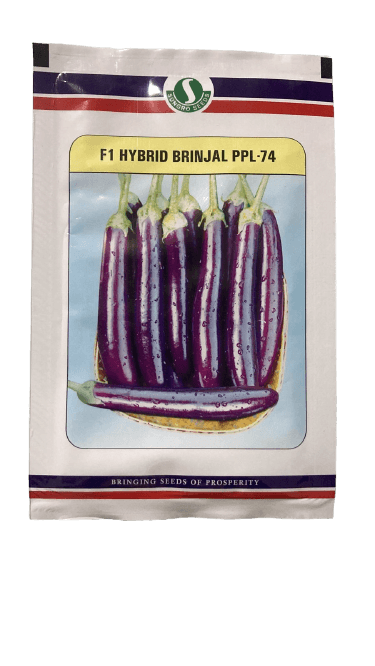 PPL-74 F1 HYBRID BRINJAL (SUNGRO SEEDS) - Farmers Stop