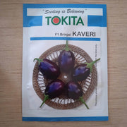 Kaveri F1 Hybrid Brinjal (Tokita Seed's) - Farmers Stop