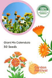 Giant Mix Calendula (Garden Festival) - Farmers Stop