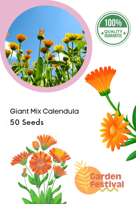 Giant Mix Calendula (Garden Festival) - Farmers Stop
