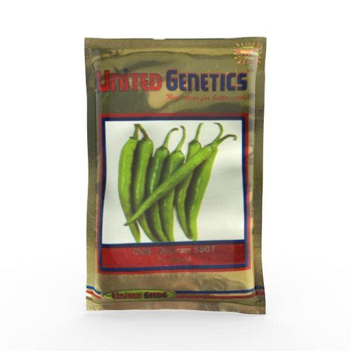 Balaram (5907) F1 Hybrid Chilli (United Genetics, USA) - Farmers Stop