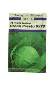 Green Presto 8228 F1 Hybrid Cabbage (Tokita Seeds) - Farmers Stop