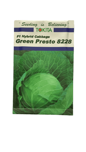 Green Presto 8228 F1 Hybrid Cabbage (Tokita Seeds) - Farmers Stop