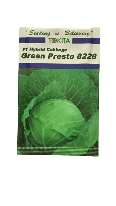 Green Presto 8228 F1 Hybrid Cabbage (Tokita Seeds) - Farmers Stop