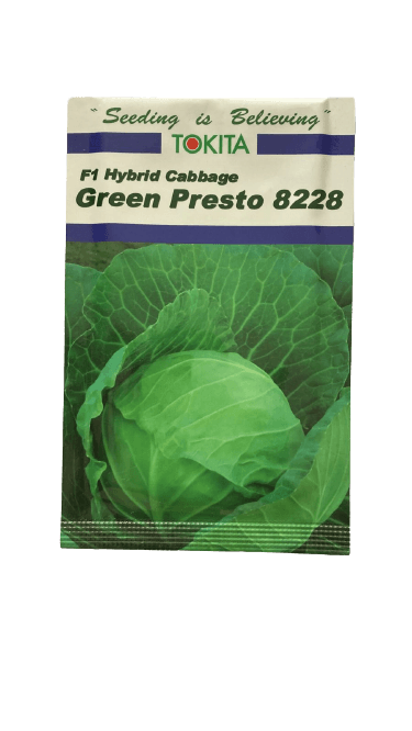 Green Presto 8228 F1 Hybrid Cabbage (Tokita Seeds) - Farmers Stop