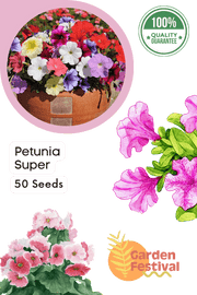 Petunia Super Mix (Garden Festival) - Farmers Stop