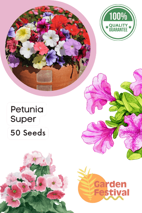 Petunia Super Mix (Garden Festival) - Farmers Stop