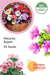 Petunia Super Mix (Garden Festival) - Farmers Stop