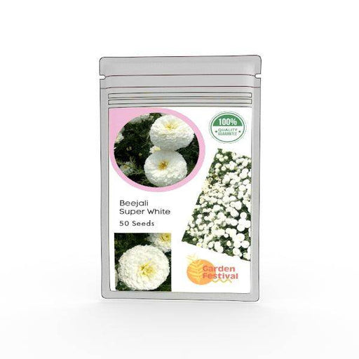 Beejali White (Garden Festival) - Farmers Stop