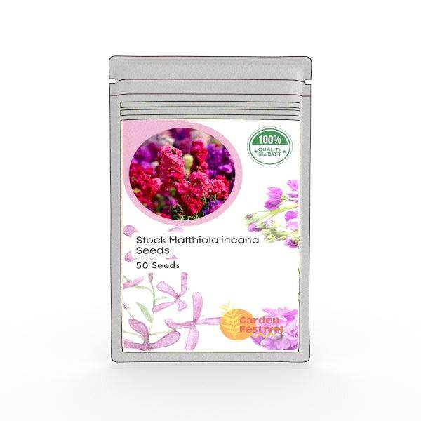 Stock Mathiola incana Mix (Garden Festival) - Farmers Stop