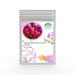 Stock Mathiola incana Mix (Garden Festival) - Farmers Stop