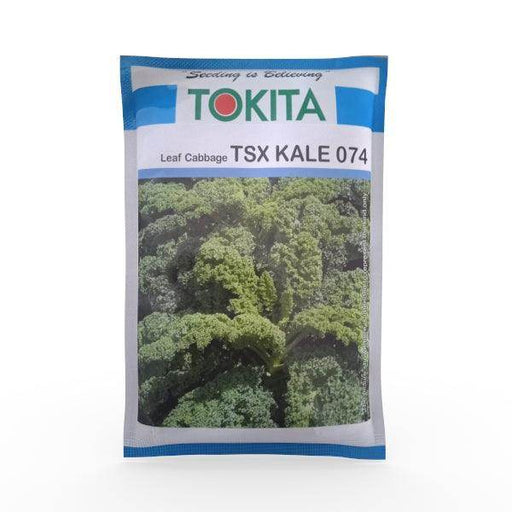 Leaf Cabbage TSX KALE 074 (Tokita Seeds) - Farmers Stop