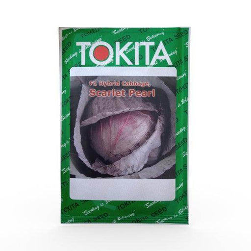 Scarlet Pearl F1 Red Cabbage (Tokita Seeds) - Farmers Stop
