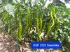 KSP 1232 Swarnika F1 Hybrid Hot Pepper/Chilli (Kalash Seeds) - Farmers Stop