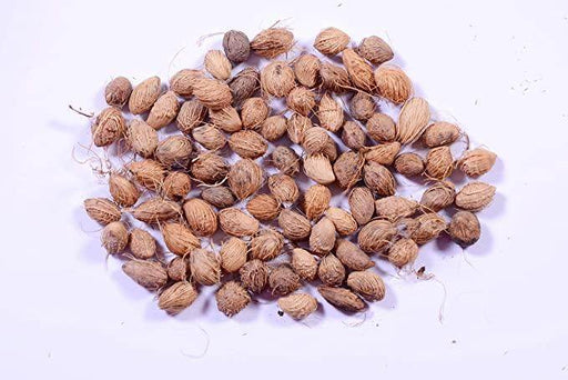 Areca Palm Seeds - Farmers Stop