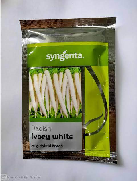 Ivory White/आइवरी वाइट F1 Hybrid Radish (Syngenta) - Farmers Stop