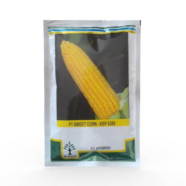 Farm sweet KSP-5389 F1 hybrid sweet corn(Kalash seeds) - Farmers Stop