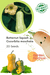 Butternut Squash Hybrid Quality (Garden Festival) - Farmers Stop