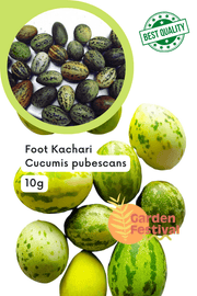 Foot Desi Kachri Quality Fruit Seeds (Garden Festival) - Farmers Stop