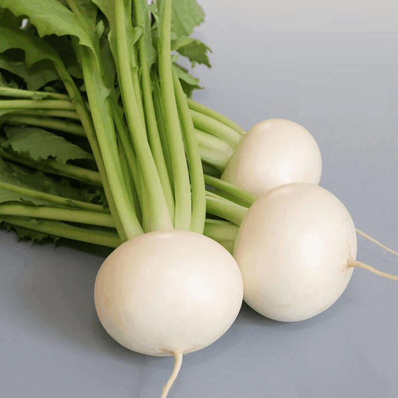 Tokyo Silky Sweet F1 Turnip (Garden Festival) - Farmers Stop