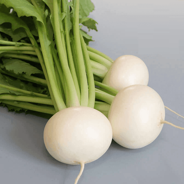 Tokyo Silky Sweet F1 Turnip (Garden Festival) - Farmers Stop