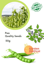 Long Pea Quality Seeds (Garden Festival) - Farmers Stop