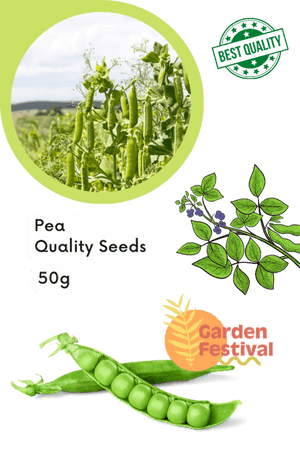 Long Pea Quality Seeds (Garden Festival) - Farmers Stop