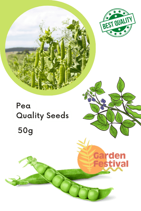 Long Pea Quality Seeds  (Garden Festival) - Farmers Stop