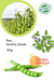 Long Pea Quality Seeds  (Garden Festival) - Farmers Stop