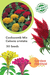 Cockscomb Mix Celosia cristata (Garden Festival) - Farmers Stop