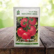 NS 4266 Hybrid F1 Tomato (Namdhari Seeds) - Farmers Stop