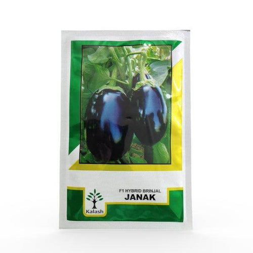 Brinjal (Eggplant) Seeds Online in India