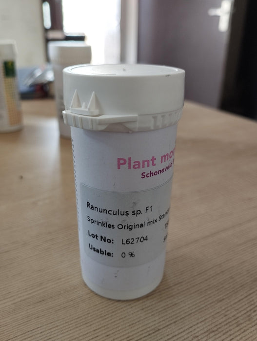 Ranunculus Sprinkles F1 Pelleted (Schoneveld breeding) - Farmers Stop